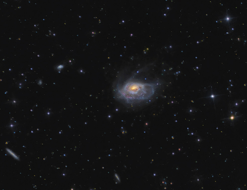 NGC1961