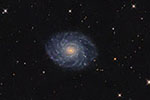 NGC3486